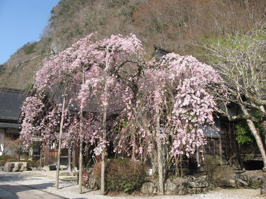Masugen Ryokan Tenkawa Экстерьер фото